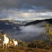 Bilde av kurs i Folkesang